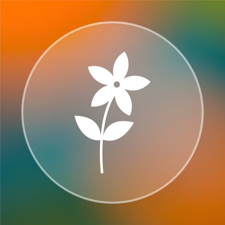 Flower  icon. Internet button on colored  background.の写真素材