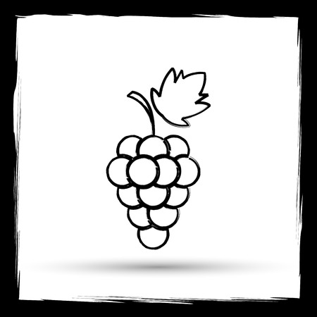 Grape icon. Internet button on white background. Outline design imitating paintbrush.の写真素材