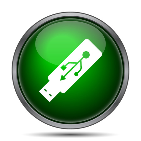 Usb flash drive icon. Internet button on white background.の写真素材