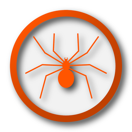 Spider icon. Internet button on white background.の写真素材
