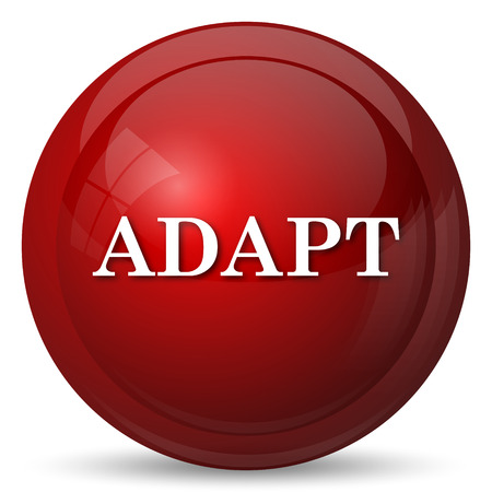 Adapt icon. Internet button on white background.の写真素材