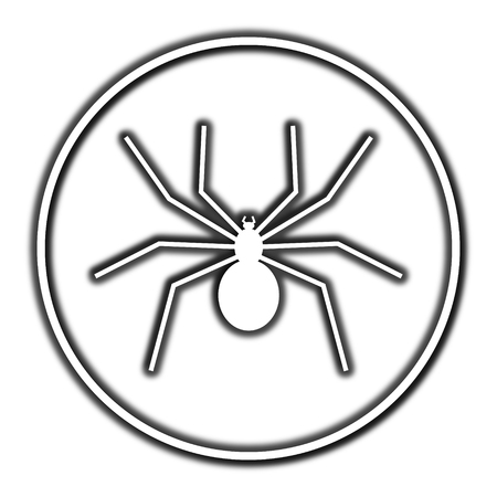 Spider icon. Internet button on white background.の写真素材