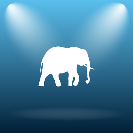 Elephant icon. Internet button on blue background.の写真素材
