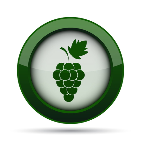 Grape icon. Internet button on white background.の写真素材