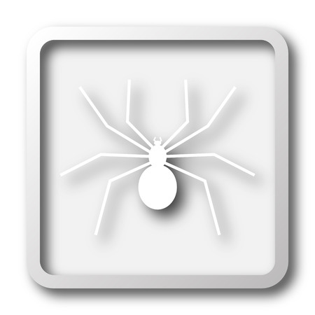 Spider icon. Internet button on white background.の写真素材