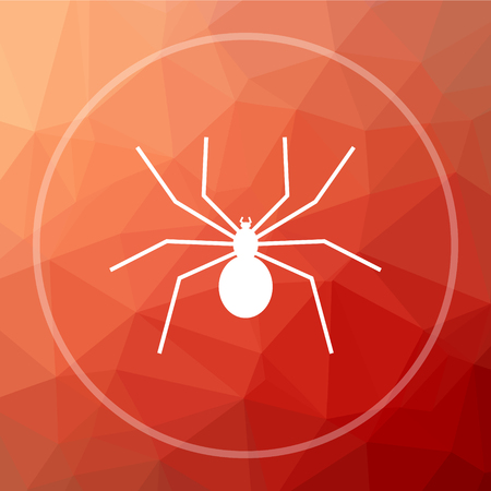 Spider icon. Spider website button on red low poly background.の写真素材