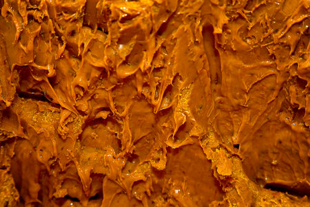 The structure of Honey. Honey with whipped cream, nuts, chocolate, fruitの写真素材
