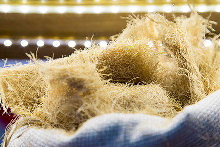 Organic materials. Dried wheat roots in a canvas bagの写真素材