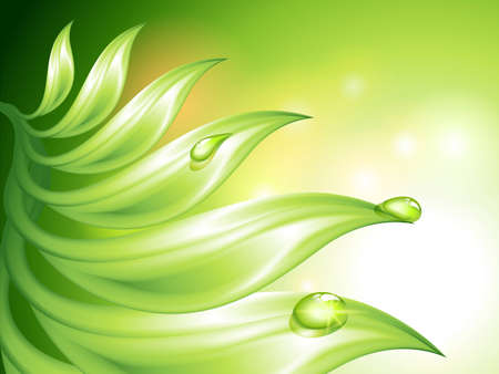 Abstract green background with leaves and water drops  no mesh のイラスト素材
