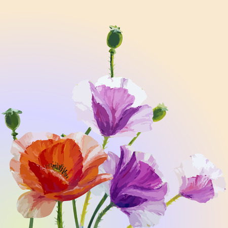 Oil painting. Spring card with poppies flowersのイラスト素材