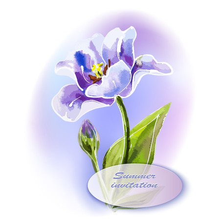 Purple tulip, watercolor painting.のイラスト素材
