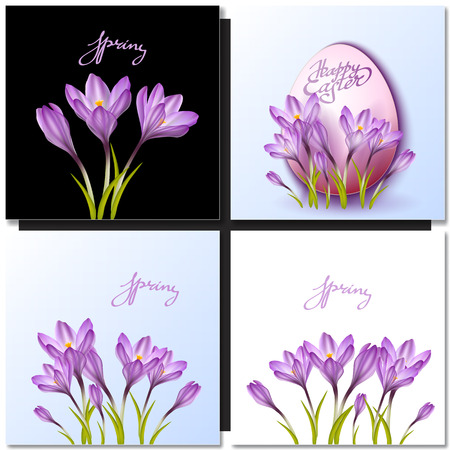 Set of vector flowers and spring lettering. Spring crocus drawings for easter decor, garden backgrounds, floral design.のイラスト素材