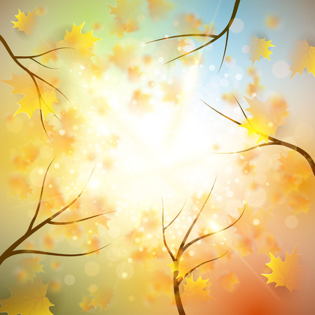 Autumn background with gold maple leaves and bokeh lights with sunny sky, fall vector illustrationのイラスト素材