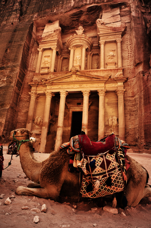 Bedouin camel rests near the treasury Al Khazneh carved into the rock at Petra, Jordanの写真素材