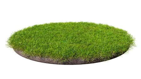 Round surface covered with green grass isolated on white background. 3D rendering illustrationの写真素材
