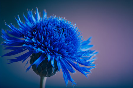 Close up of blue flower on purple background. Generative AI.の素材