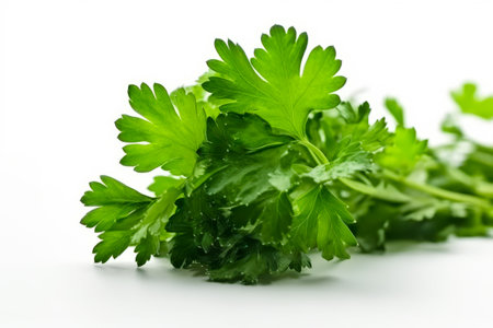 Close up of a bunch of green leaves with water droplets on them. Generative AI.の素材