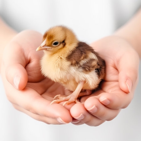 Small bird sitting in someone's hands while they hold it in it's palm. Generative AI.の素材