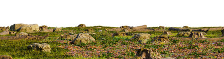 A rocky landscape with a variety of rock formations, including boulders and jagged rocks, set against a backdrop of green grass and a clear skyの写真素材