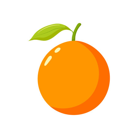 Funny cartoon orange. cute fruits. Vector food illustration isolated on white background.のイラスト素材