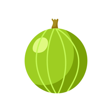 Funny cartoon gooseberry. Cute berries. Vector food illustration isolated on white background.のイラスト素材