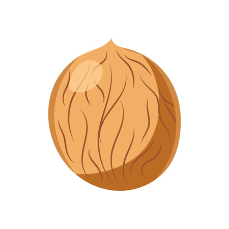 Funny cartoon walnut. Cute nut. Vector food illustration isolated on white background.のイラスト素材