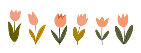 Simple abstract various flowers. Floral springtime prints design. Isolated on white background. Vector stock illustrationのイラスト素材