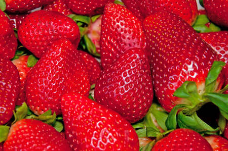 The fresh and juicy  strawberries の写真素材