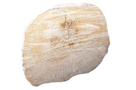 A tree stub with annual rings isolatedの写真素材