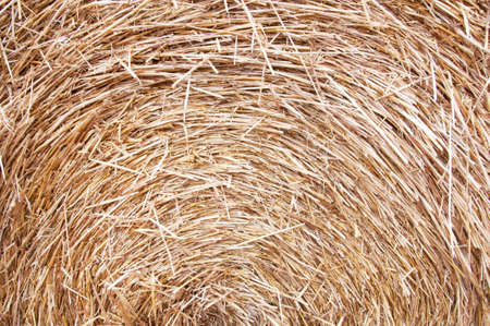the stack of dry hay