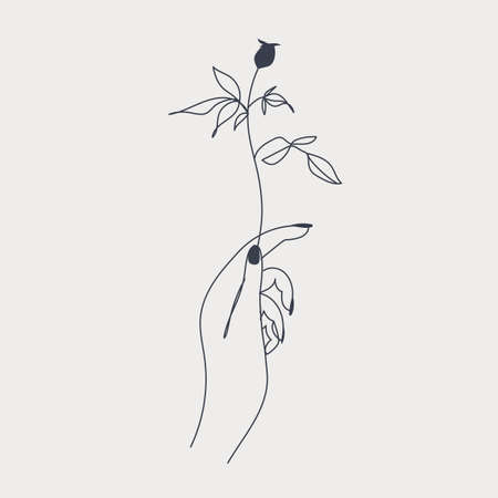 Hand holding a plant tribal line style   templateのイラスト素材