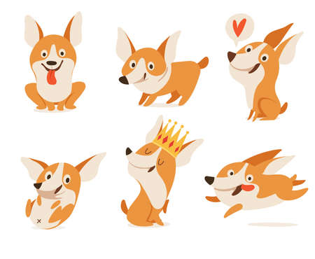 Welsh Corgi various characters doing various activities isolatedのイラスト素材