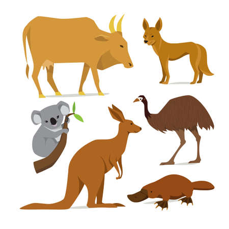 Big set of mammal animals of Australia in flat styleのイラスト素材