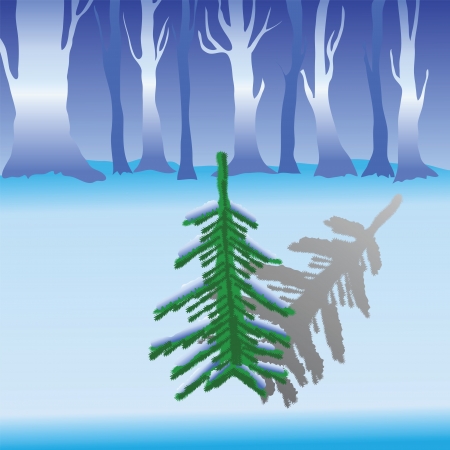 colorful illustration with fir for your designのイラスト素材
