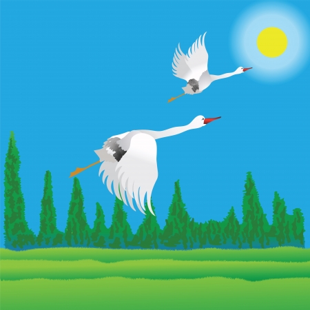 colorful illustration with birds for your designのイラスト素材