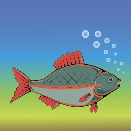 colorful illustration with fish for your designの写真素材