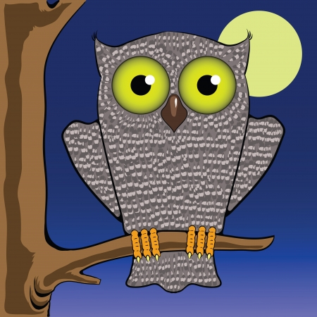colorful illustration with owl and moon for your designの写真素材