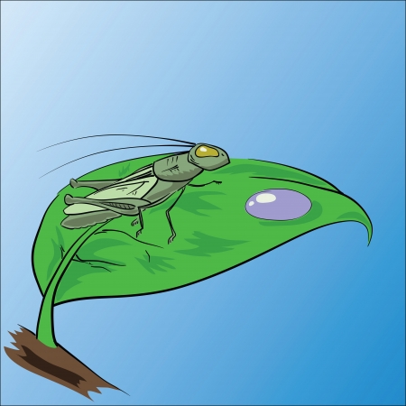 colorful illustration with grasshopper for your designの写真素材