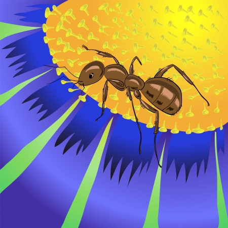 colorful illustration with ant and flower  for your designの写真素材