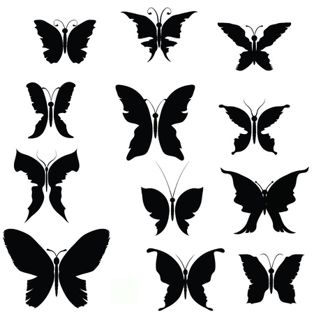 black silhouettes of butterflies  for your designの写真素材