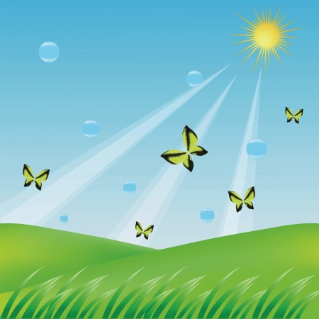 colorful illustration with butterflies  for your designの写真素材