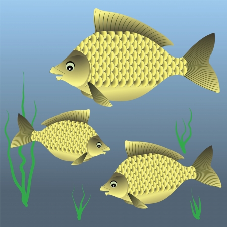 colorful illustration with fish for your designの写真素材