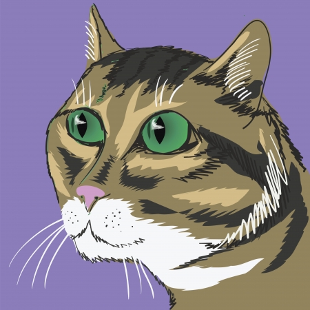 colorful illustration with cat for your designの写真素材