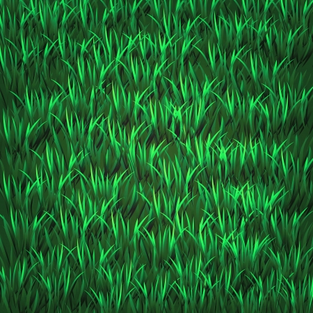 colorful illustration with  green grass for your designのイラスト素材