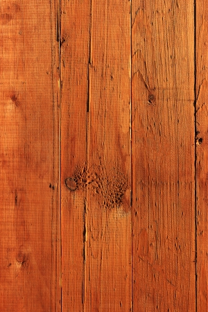 Wood plank brown texture background の写真素材