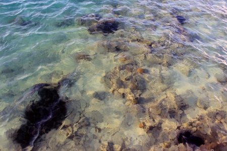 sea beah at sun lightの写真素材