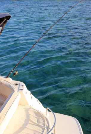 big game fishing reel in natural settingの写真素材