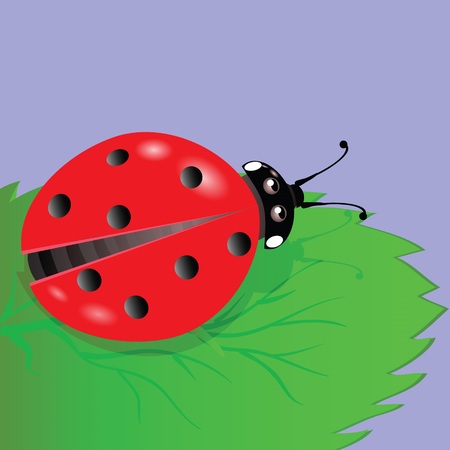 colorful illustration with ladybird  for your designのイラスト素材