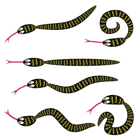 colorful illustration with  set of snakes for your designのイラスト素材