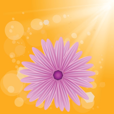 colorful illustration with  pink flower on sun background for your designのイラスト素材